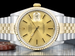 Rolex Datejust 36 Champagne Jubilee Crissy Dial 16233 